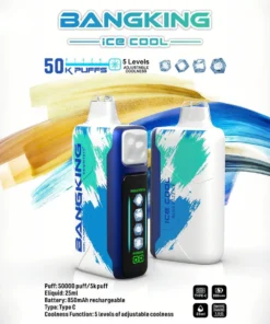 Bang King 50000Puffs Ice Cool VapoPL - E-papieros jednorazowy z 50000 zaciągnięć i 5 poziomami chłodu