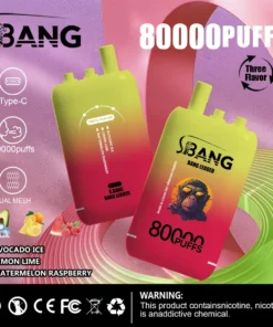 Bang Leader 80000Puffs 3 IN 1 VapoPL