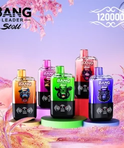 BANG LEADER STOLL 120K Puffs