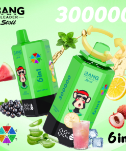 Alternative view of Bang Leader stoll 300K Puffs 6IN1