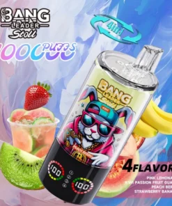 Alternative view of BANG LEADER STOLL 100K Puffs 4IN1