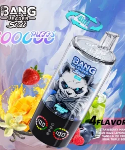 BANG LEADER STOLL 100K Puffs 4IN1