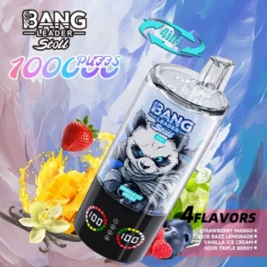 BANG LEADER STOLL 100K Puffs 4IN1